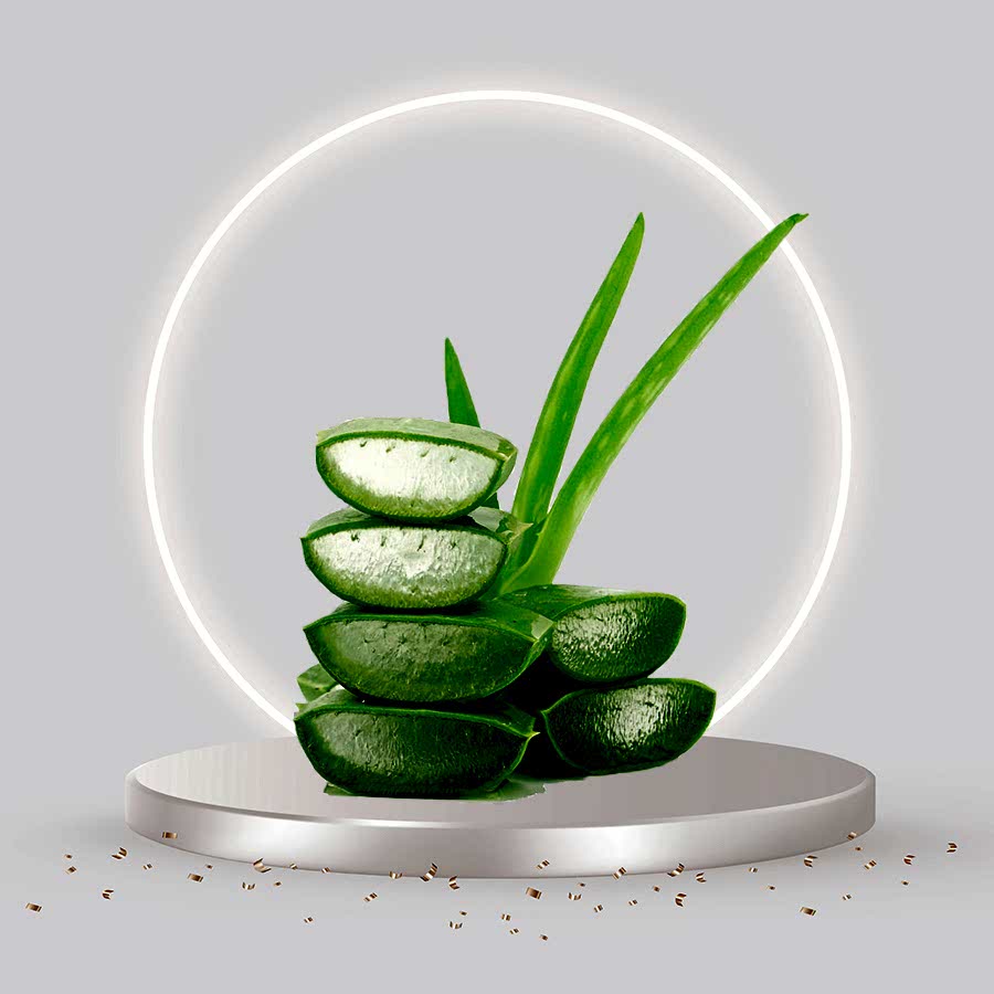 ALOE VERA SUYU 100ML