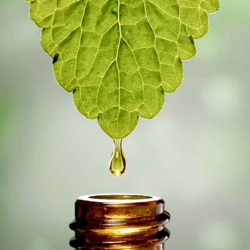 Squalane Nedir? Faydaları Nelerdir?