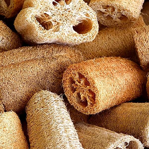 Kabak Lifli Sabun: Doğal ve Etkili Cilt Bakımı